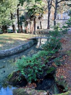 Appartement Au Murmure des Eaux à Fontaine-de-Vaucluse - Fontaine-de-Vaucluse - 6