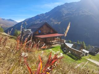 Almhütte Chrisanten Thaya Sölden - 9