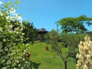 Villa Casa Belvedere near Dubrovnik - Gruda - 8