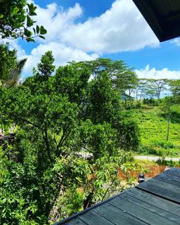 Jack Shade Resort Ella - 6