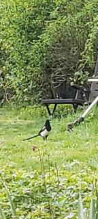 Haus Am Teich Oetjens - 1