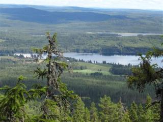 Holiday home TORSBY VIII - Torsby - 7