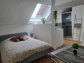 Studios idéalement situés - EU - Bruxelas - 8