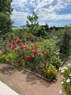 Villa Philipp'inn - Arles - 5