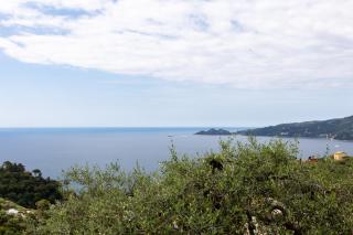 Country & Sea by PortofinoVacanze - Zoagli - 8