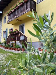 Trnovo ob Soci Kuhala - Kobarid - 0