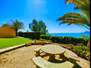 Mai Tai - Splendid Altea - Altea - 6