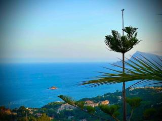 Mai Tai - Splendid Altea - Altea - 5