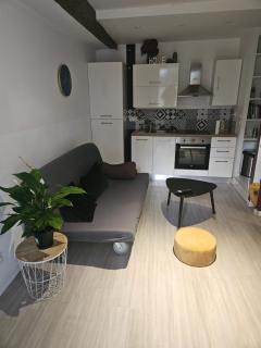 Logement avec jardin gare St Charles - Marseille - 7