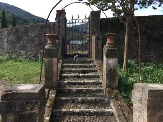 Villa Tambellini de Fondra - Lucca - 9