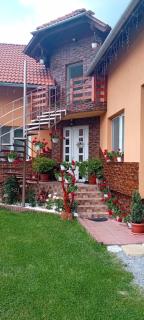 Casa de Oaspeti Cristian - 3