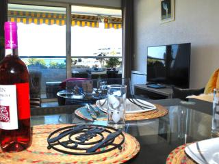 Appartement moderne 48m² avec terrasse, 4 couchages, climatisé - Villeneuve-Loubet Plage - FR-1-252A-123 - 9