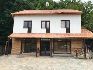 Guest House DogPoint - - 8