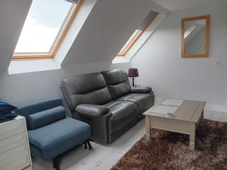Duplex/2 Bedrooms on Kildare/Carlow/Laois Border - 3