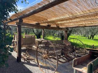 Casina di Leonardo Arezzo - Arezzo - 5