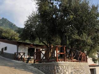 Casa Vacanze Dalisa Ulivo A con parcheggio - Tramonti - 8