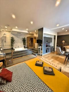LOFT & SPA PRIVATIF - Dijon - 9