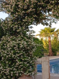 Casa rural Alemanes - Moratalla - 7