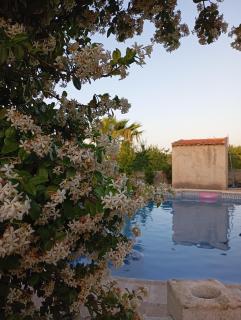 Casa rural Alemanes - Moratalla - 9