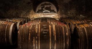 Cocooning à cognac - Cognac - 3