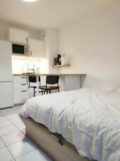 T1 rénové à Nîmes - Nimes - 9