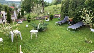 Casa Paunescu - Miloştea - 6