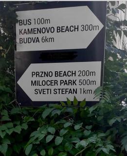 Villa Olive Przno 3 - Terrace - Parking - Budua - 9
