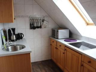Holiday apartment sun terrace - Malchow - 7