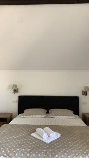 Casa Paunescu - Miloştea - 1