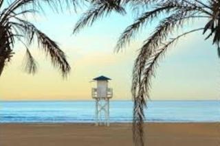 Apartamento con terraza a pocos metros del mar - 3