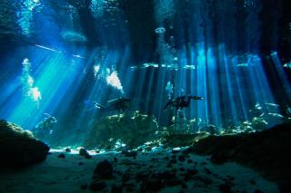 Treehouse Tulum H2Ojos - 3