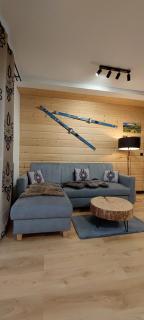 Apartamenty Trzy Kopce SKI & BIKE & SAUNA - Ustroń - 4