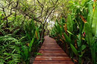 Solea Villa Tropical - Santa Marta - 1