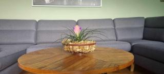 The Dream Villa - 1