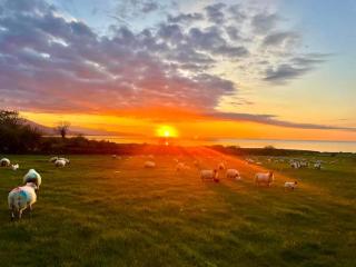 Lighthouse View - Tralee - 4