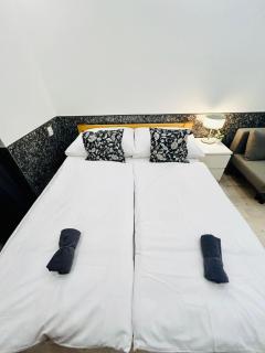 Modern Spacious Apartment in center Prague - Prague - 1