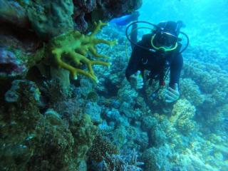 hurgada - Hurghada - 1