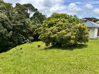 gîte de forêt de Guadeloupe - Petit-Bourg - 2