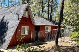 Quiet cabin in the woods - 4