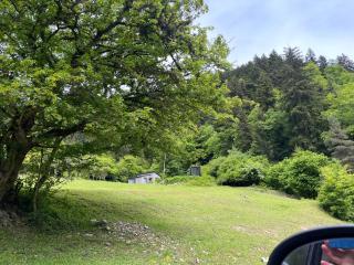 Cozy house in the forest - Borjomi - 3