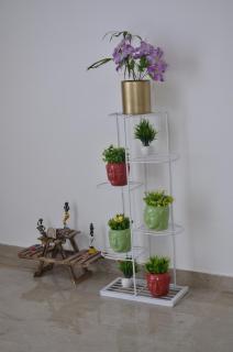 Family NEST - 6