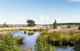 1 Bedroom Amazing Home In Oosterwolde - Oosterwolde - 1