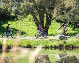 Wild Pines Waterfront Guesthouse Sauna BBQ Pet Friendly - Jindabyne - 4