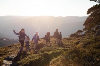 Wild Pines Waterfront Guesthouse Sauna BBQ Pet Friendly - Jindabyne - 5