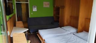 Bad Gastein Holiday Apartments - Bad Gastein - 7