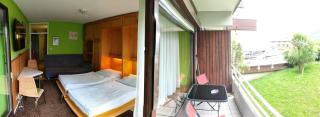 Bad Gastein Holiday Apartments - Bad Gastein - 8