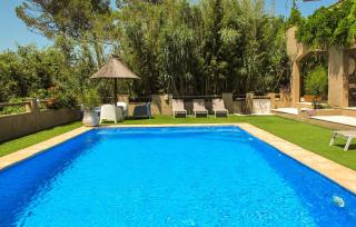 Le Pin Depices - Saint-Maximin-la-Sainte-Baume - 9