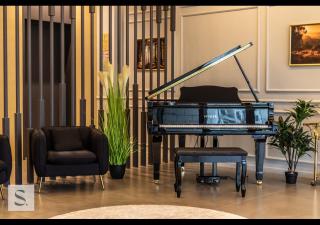 Plush 1 BDR Apt, Close to Metro - 4