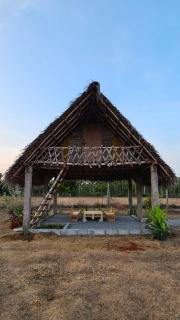 Cosmorama - Auroville - 1