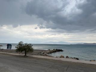 Asaminthos - 6